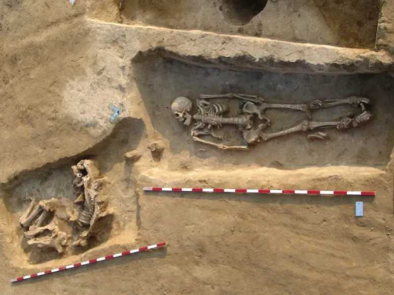 Ancient DNA Unravels Pre - historic Family Trees and Social Structures